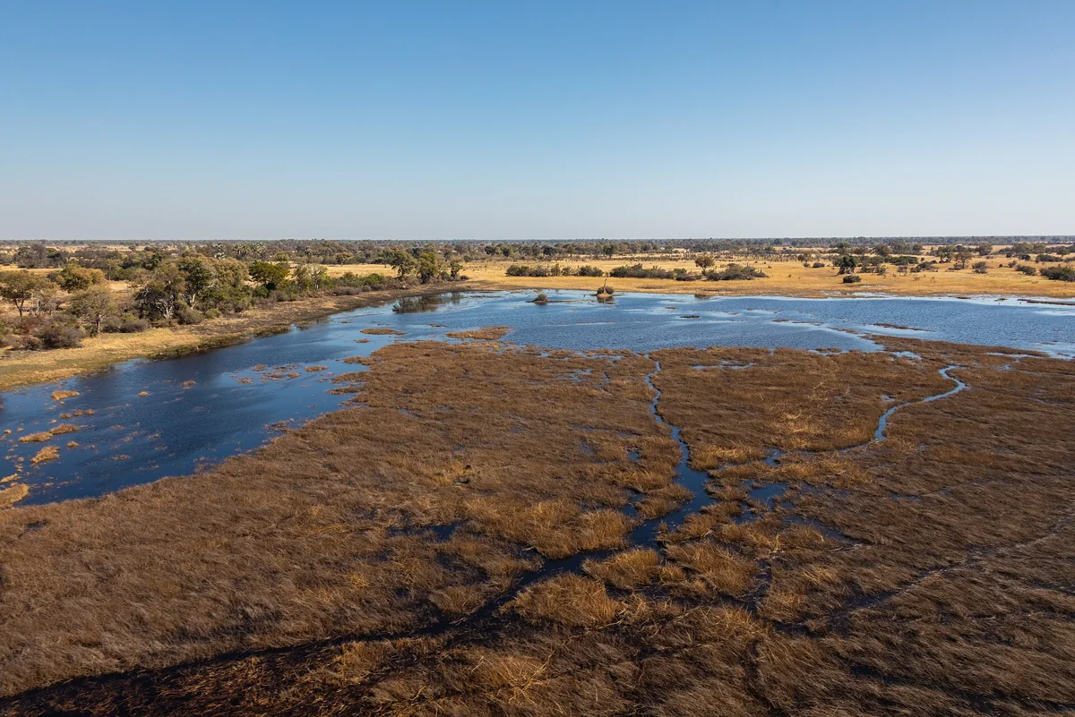 Aerial waterways and vegetated islands in the Okavango Delta outside Maun