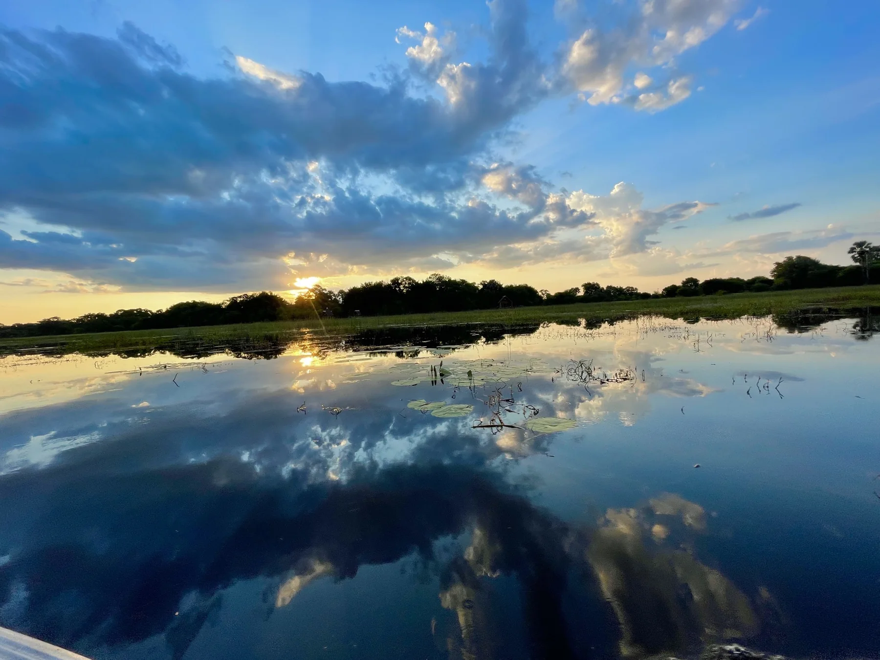 Evening sky and trees reflected in the Thamalakane River at Maun