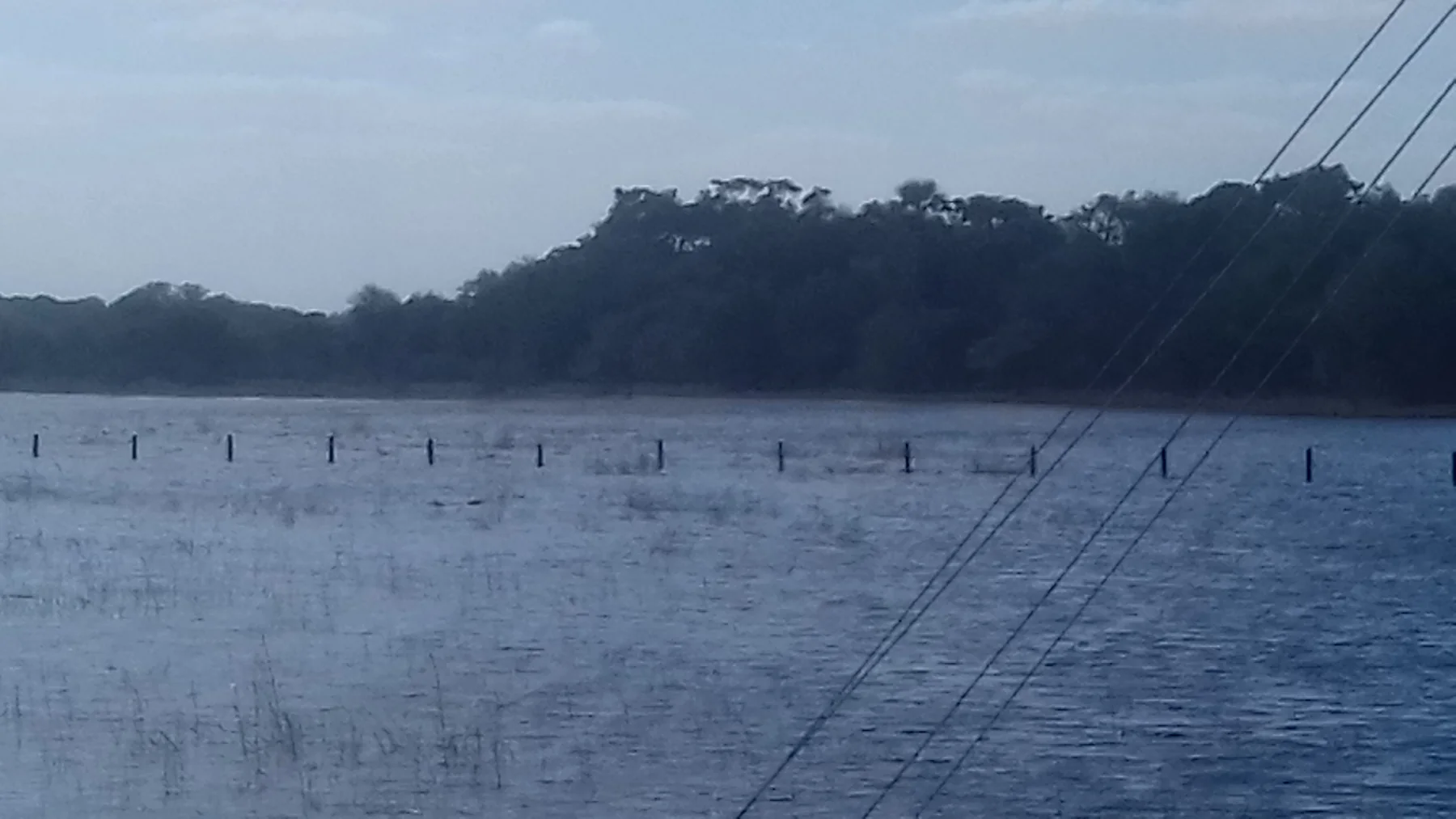 Trees and a riverbank beyond the Thamalakane water at Maun